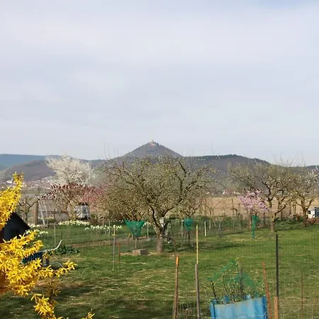 Au Pied Du Koenigsbourg Apartment Selestat
