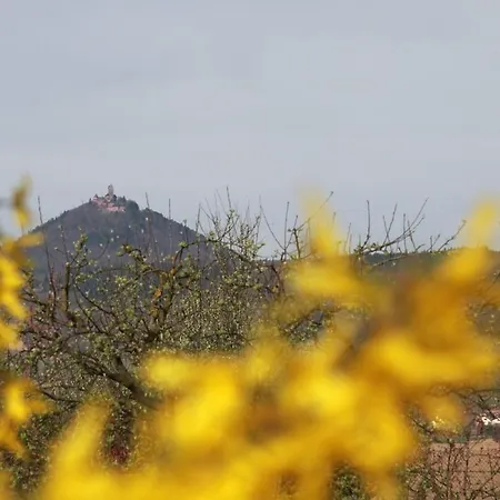 Au Pied Du Koenigsbourg * Selestat