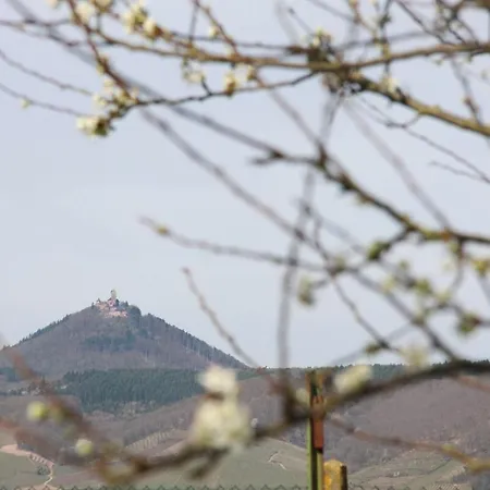 Au Pied Du Koenigsbourg * Selestat